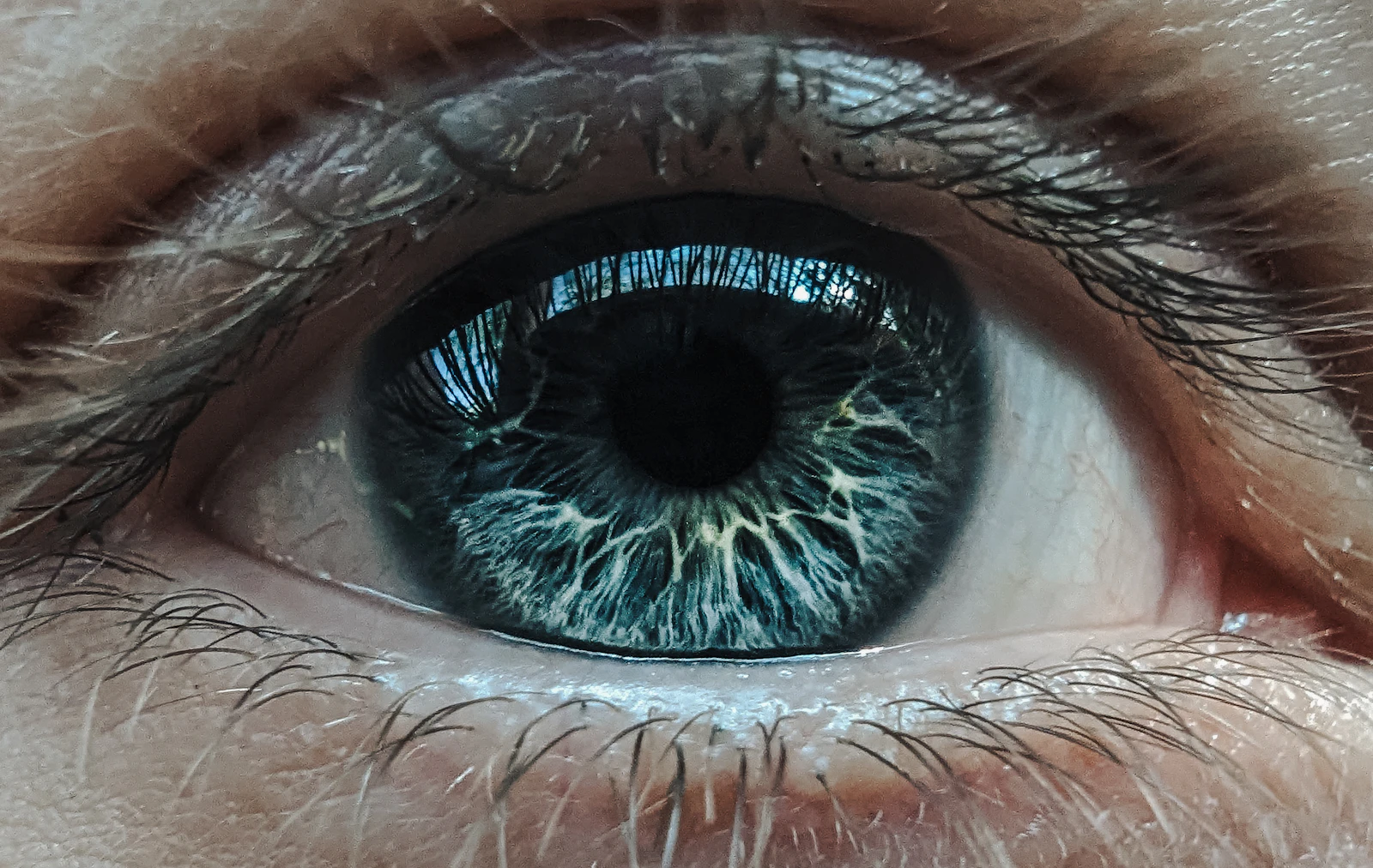 A close up of a person's blue eye